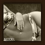 Fort Worth Body Contouring